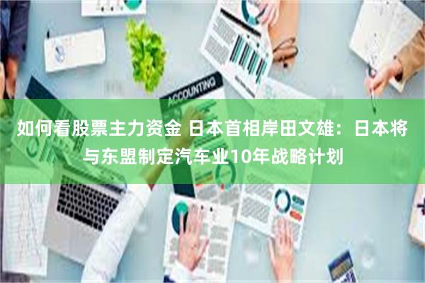 如何看股票主力资金 日本首相岸田文雄:日本将与东盟制定汽车业10年战略计划