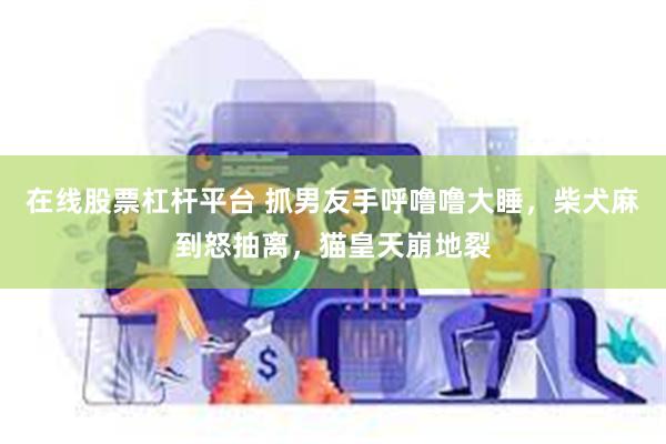 在线股票杠杆平台 抓男友手呼噜噜大睡,柴犬麻到怒抽离,猫皇天崩地裂