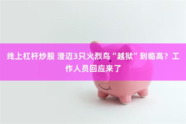 线上杠杆炒股 澄迈3只火烈鸟“越狱”到临高？工作人员回应来了