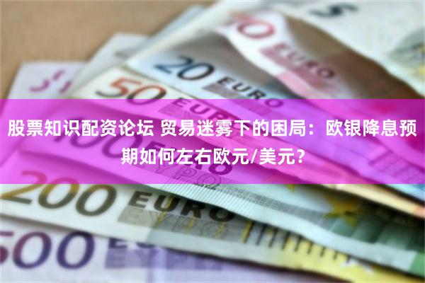 股票知识配资论坛 贸易迷雾下的困局：欧银降息预期如何左右欧元/美元？