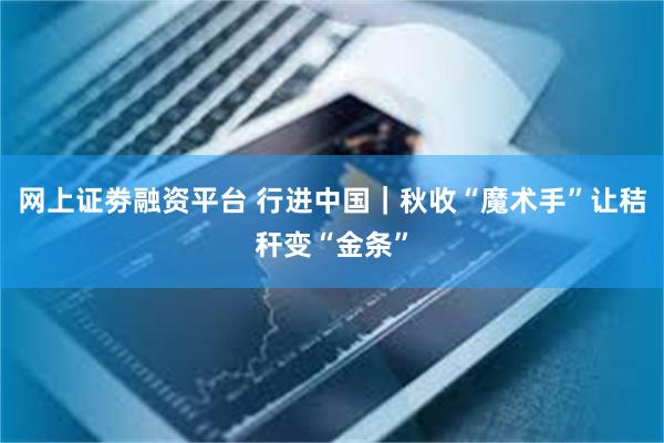 网上证劵融资平台 行进中国｜秋收“魔术手”让秸秆变“金条”