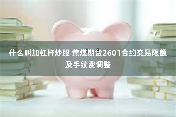 什么叫加杠杆炒股 焦煤期货2601合约交易限额及手续费调整